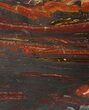 Polished Tiger Iron Stromatolite - ( Billion Years) #62733-1